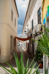 Portugese Street