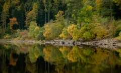 Autumn on the Shores of Thirlmere