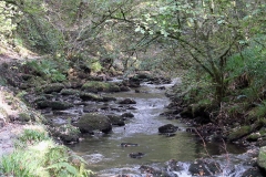 River at Lydford Gorge