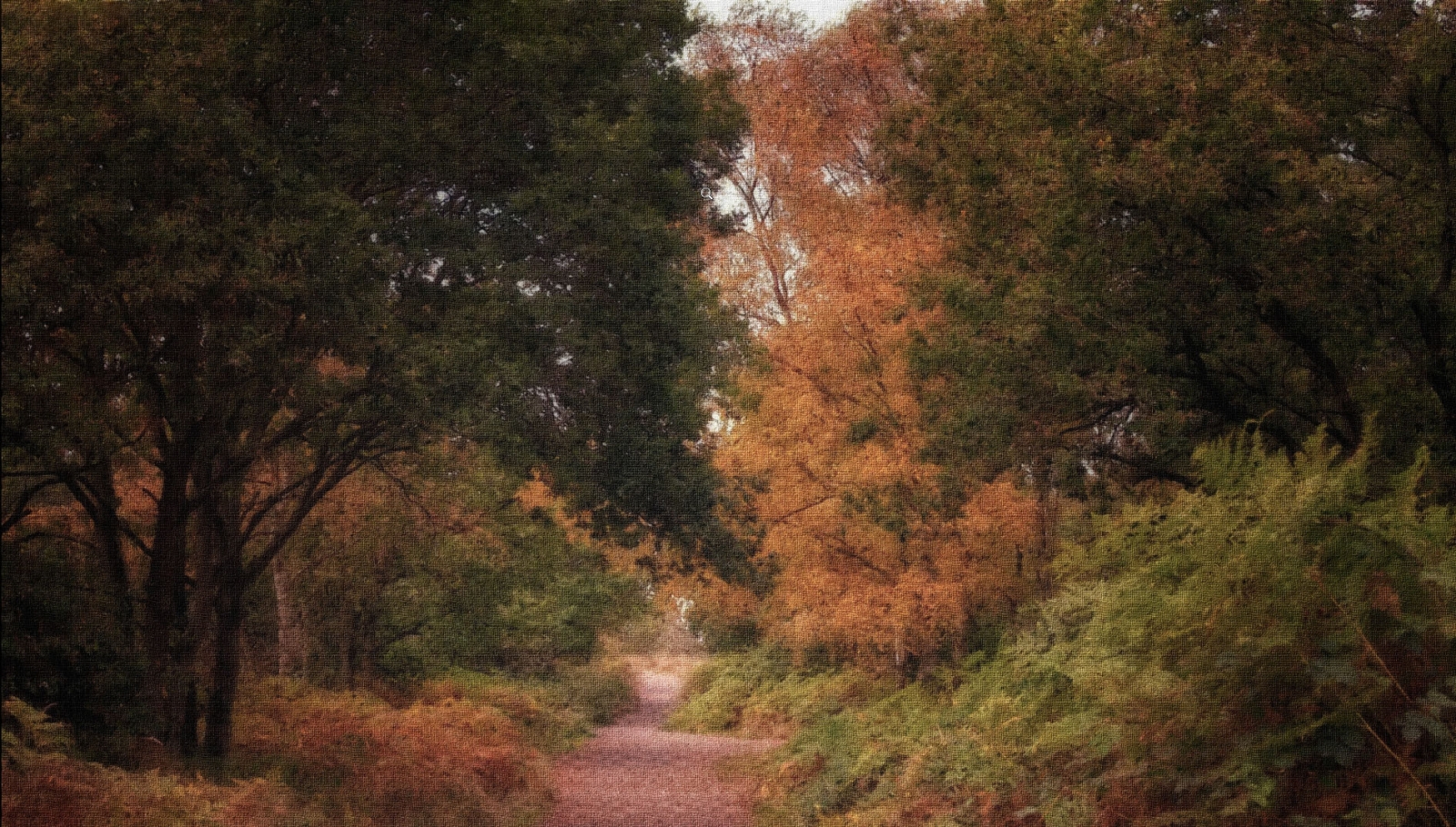 Autumnal path webSD.jpg